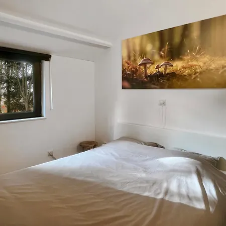 Maison 25 Semesterbostad