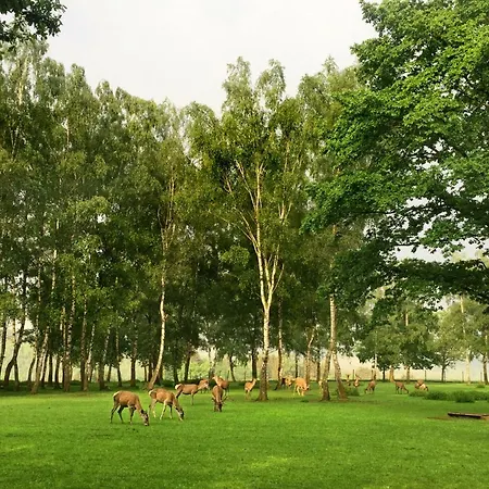 Semesterbostad Maison 25