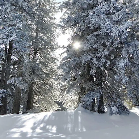 Maison 25 Houffalize