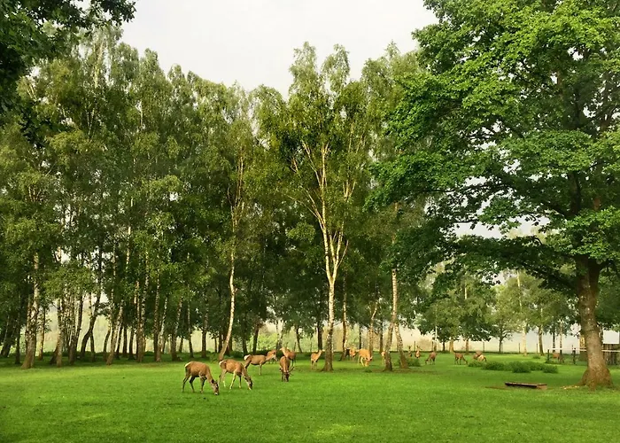 Vakantiehuis Maison 25