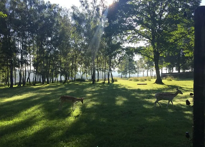 Maison 25 Houffalize