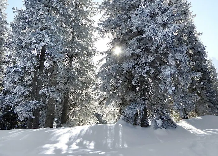 Maison 25 Houffalize